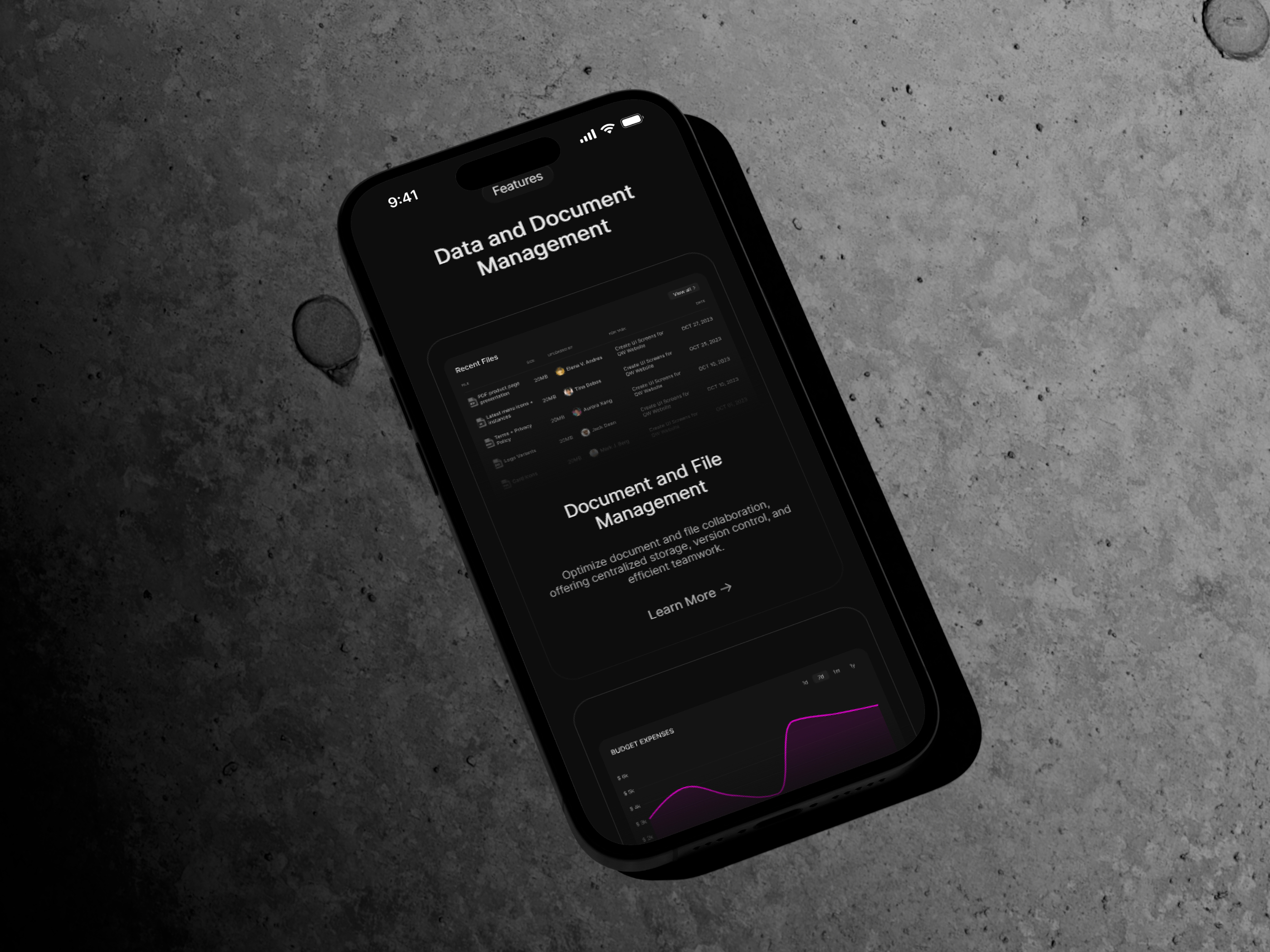黑白极简现代 SaaS 产品官网设计灵感，SaaS、企业官网 Framer 网站模板详情图 4