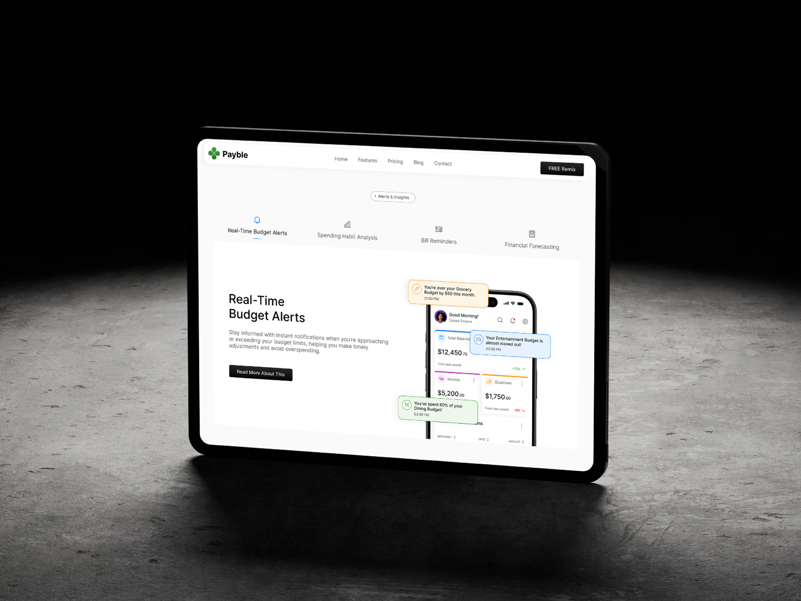 极简专业 SaaS 产品官网设计灵感，金融科技、SaaS Framer 网站模板详情图 3